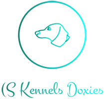 (S Kennels Doxie Logo